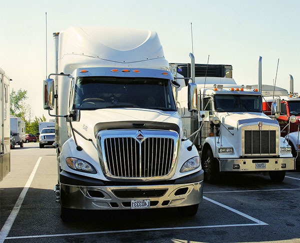 Logistics Team Loading Boxes